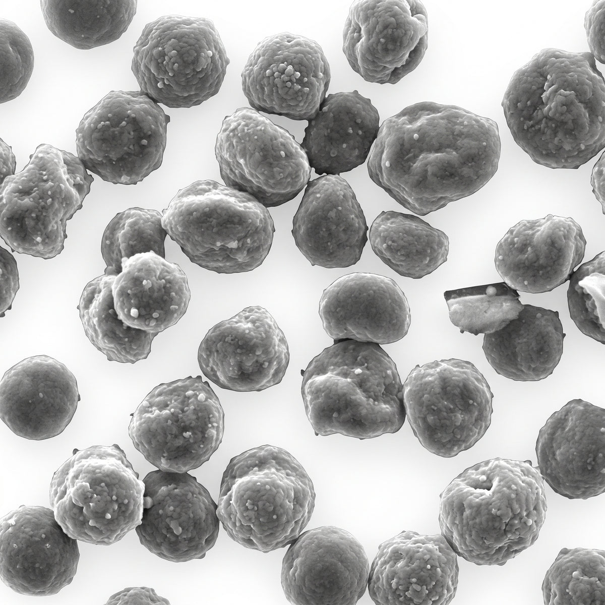 MSE PRO MCMB Mesocarbon Microbeads Synthetic Graphite Powder, 500g, 9-14um for Li-ion Battery Anode AI image