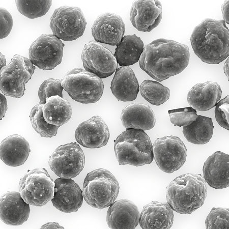 MSE PRO MCMB Mesocarbon Microbeads Synthetic Graphite Powder, 500g, 9-14um for Li-ion Battery Anode AI image