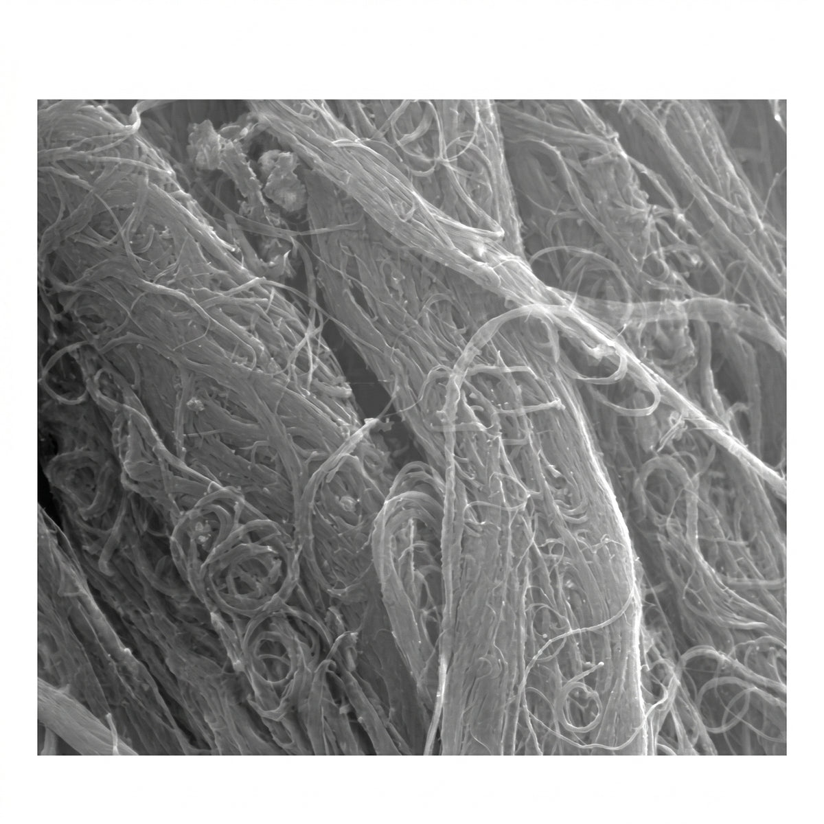 MSE PRO High Purity (>95 wt%) Single-walled Carboxylated Carbon Nanotubes, 1g AI image
