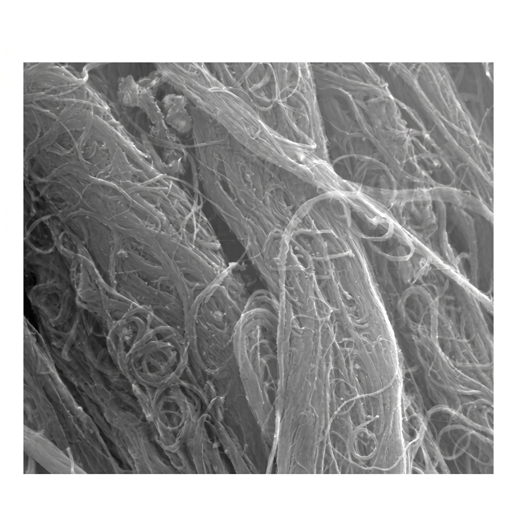 MSE PRO High Purity (>95 wt%) Single-walled Carboxylated Carbon Nanotubes, 1g AI image
