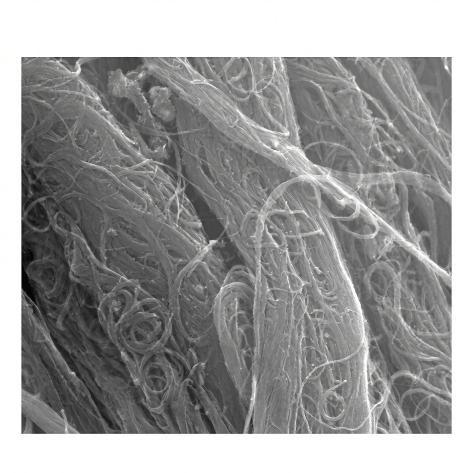 MSE PRO High Purity (>95 wt%) Single-walled Carboxylated Carbon Nanotubes, 1g AI image