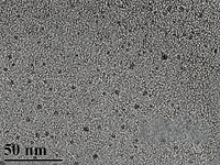 MSE PRO 2-6 nm PAA Modified Cerium Oxide Nanoparticles Water Solution, 1 mg/mL, Chemicals and Compounds, MSE Supplies LLC, MSE Supplies