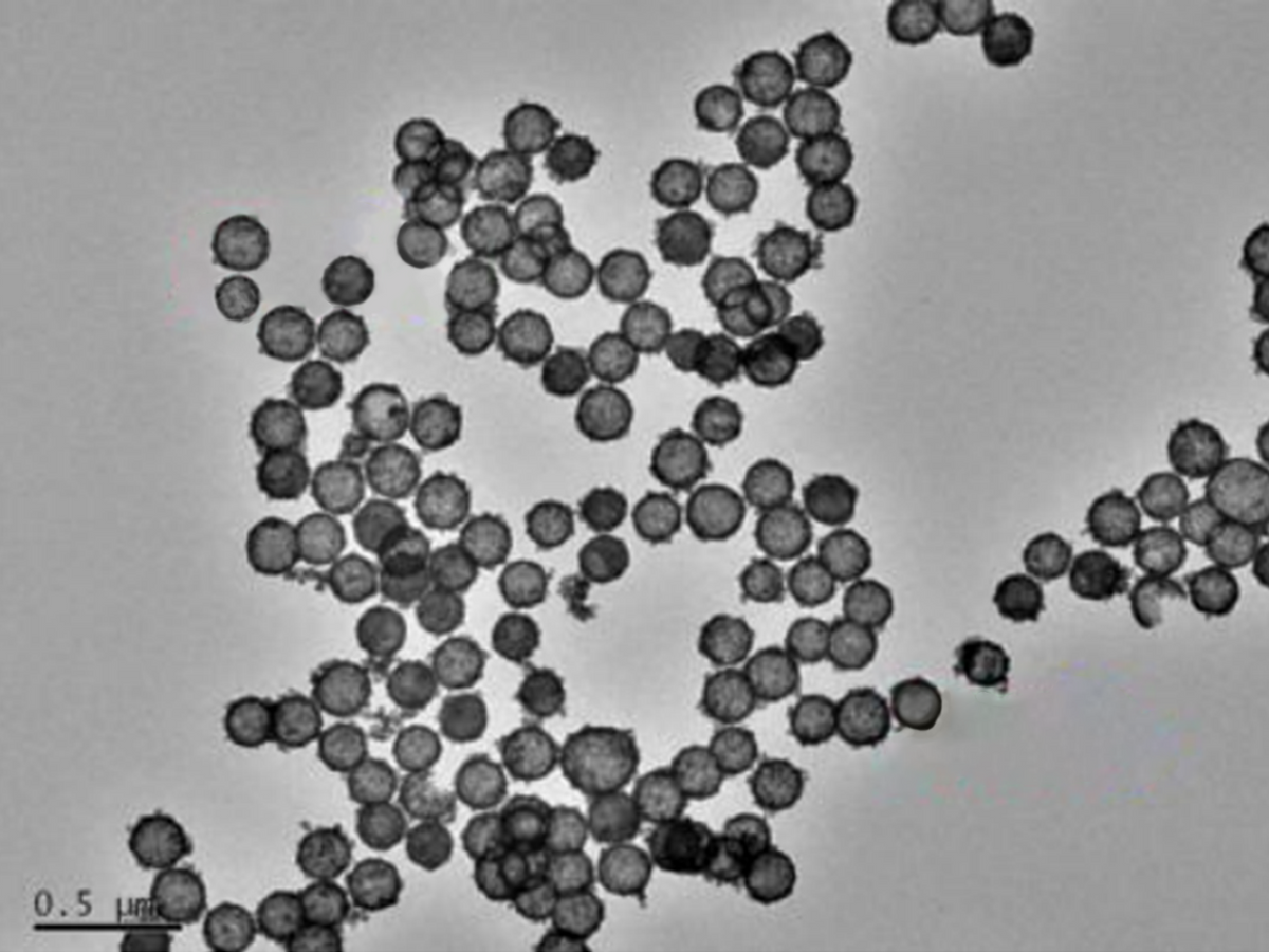 MSE PRO Hollow Mesoporous Ceria (CeO<sub>2</sub>) Nanoparticles Water Solution, 1 mg/mL, Chemicals and Compounds, MSE Supplies LLC, MSE Supplies