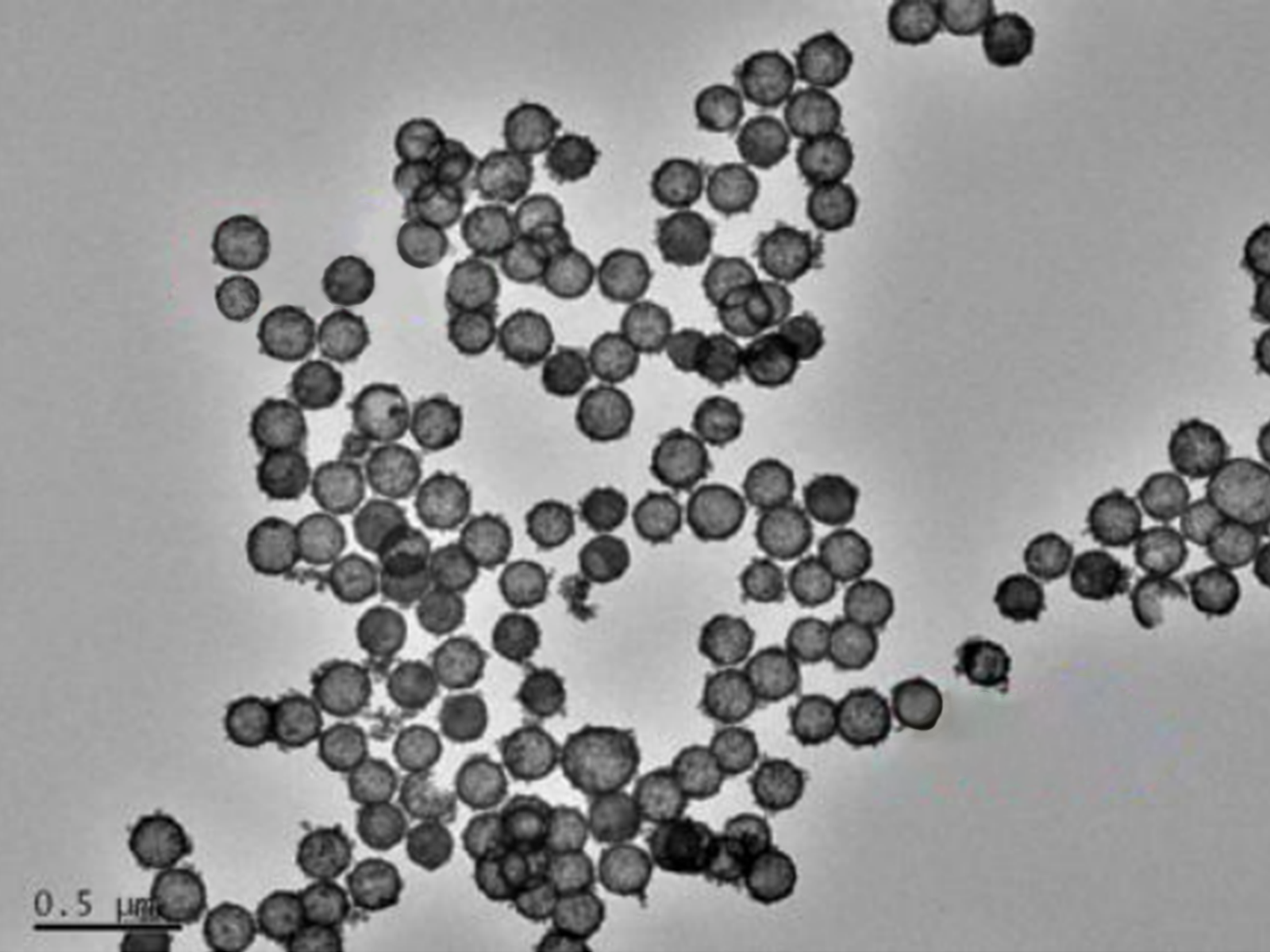 MSE PRO Hollow Mesoporous Ceria (CeO<sub>2</sub>) Nanoparticles Water Solution, 1 mg/mL, Chemicals and Compounds, MSE Supplies LLC, MSE Supplies