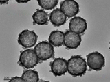 MSE PRO Hollow Mesoporous Ceria (CeO<sub>2</sub>) Nanoparticles Water Solution, 1 mg/mL - MSE Supplies LLC