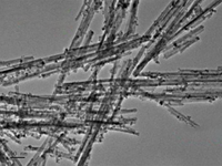 MSE PRO Cerium Oxide Nanorods Ethanol Solution, 1 mg/mL, Chemicals and Compounds, MSE Supplies LLC, MSE Supplies