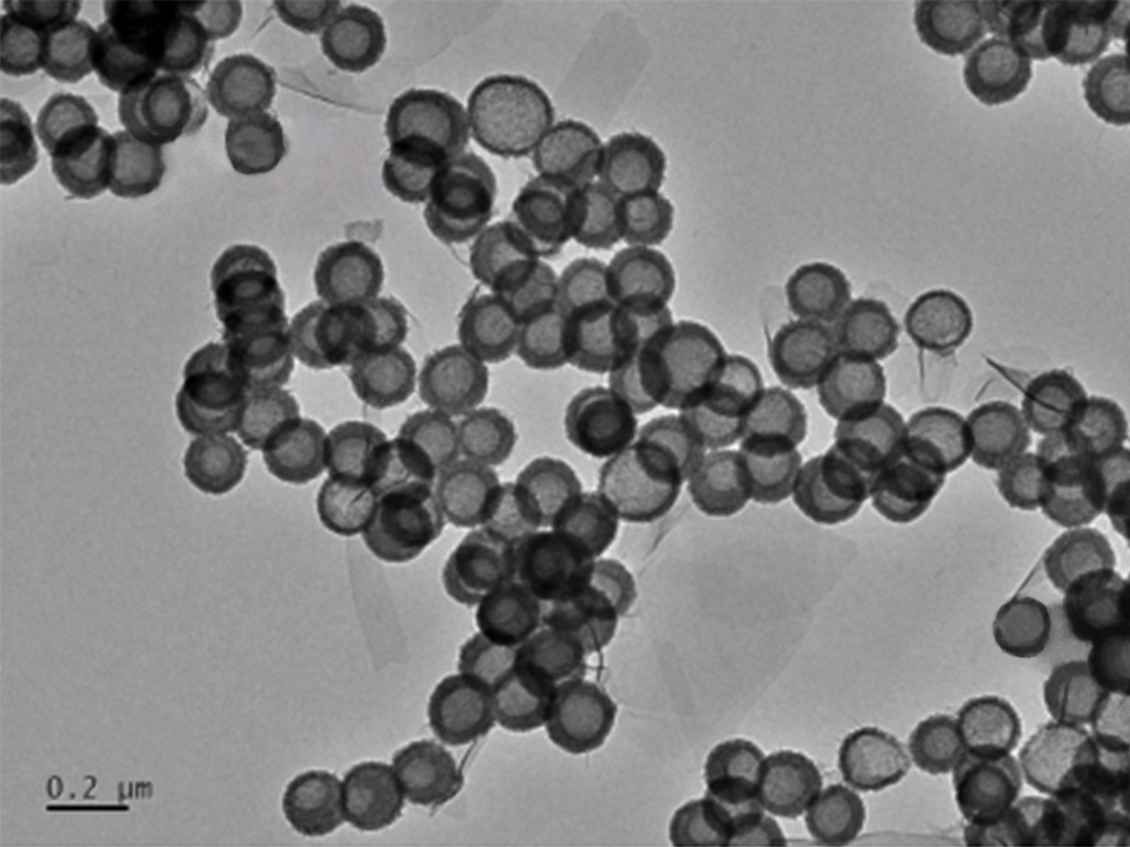 MSE PRO Hollow Mesoporous MnO2 Nanoparticles Water Solution, 1 mg/mL ...