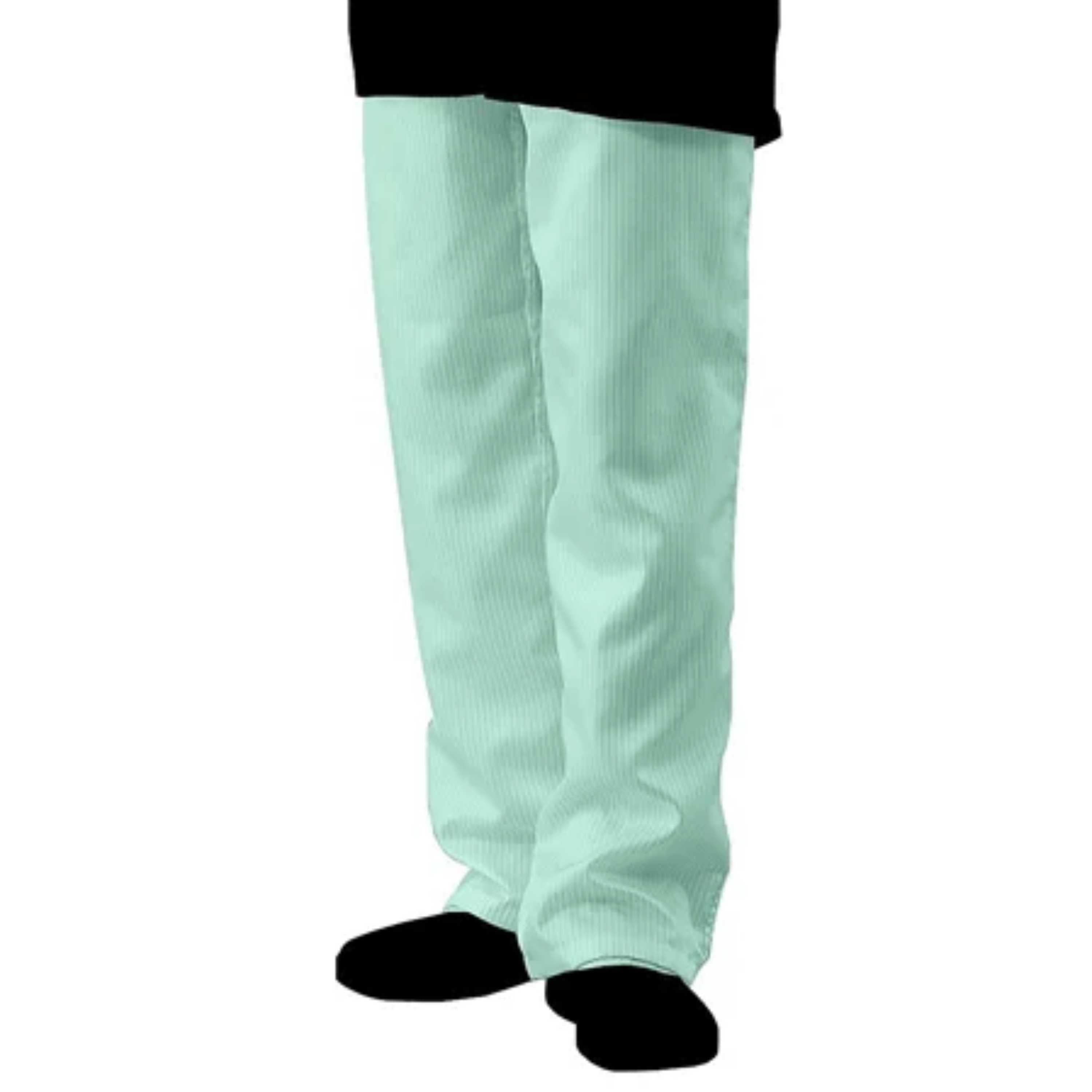 ASPURE Clean Pants Green 3L