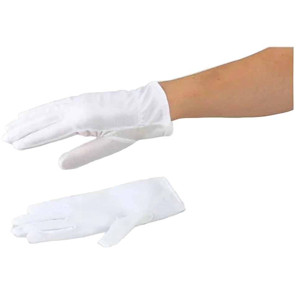 ASPURE Dust-Free Gloves Polyester L 12 Pairs