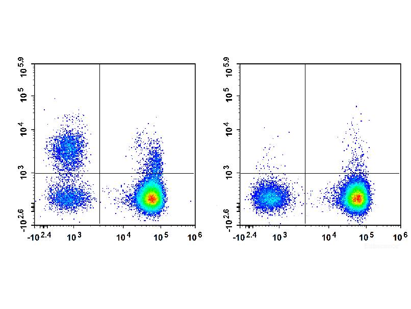 Elab Fluor® Violet 450 Anti-Human CD19 Antibody[HI19a], Biomarkers, Elabscience Biotechnology, MSE Supplies
