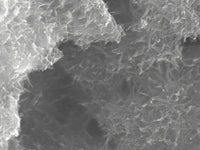 MSE PRO Conductive Metal-Organic Framework (MOF) Ni<sub>3</sub>(HITP)<sub>2</sub>, Chemicals and Compounds, MSE Supplies LLC, MSE Supplies