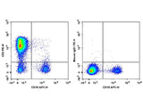 PE Anti-Human CD2 Antibody[RPA-2.10], Biomarkers, Elabscience Biotechnology, MSE Supplies