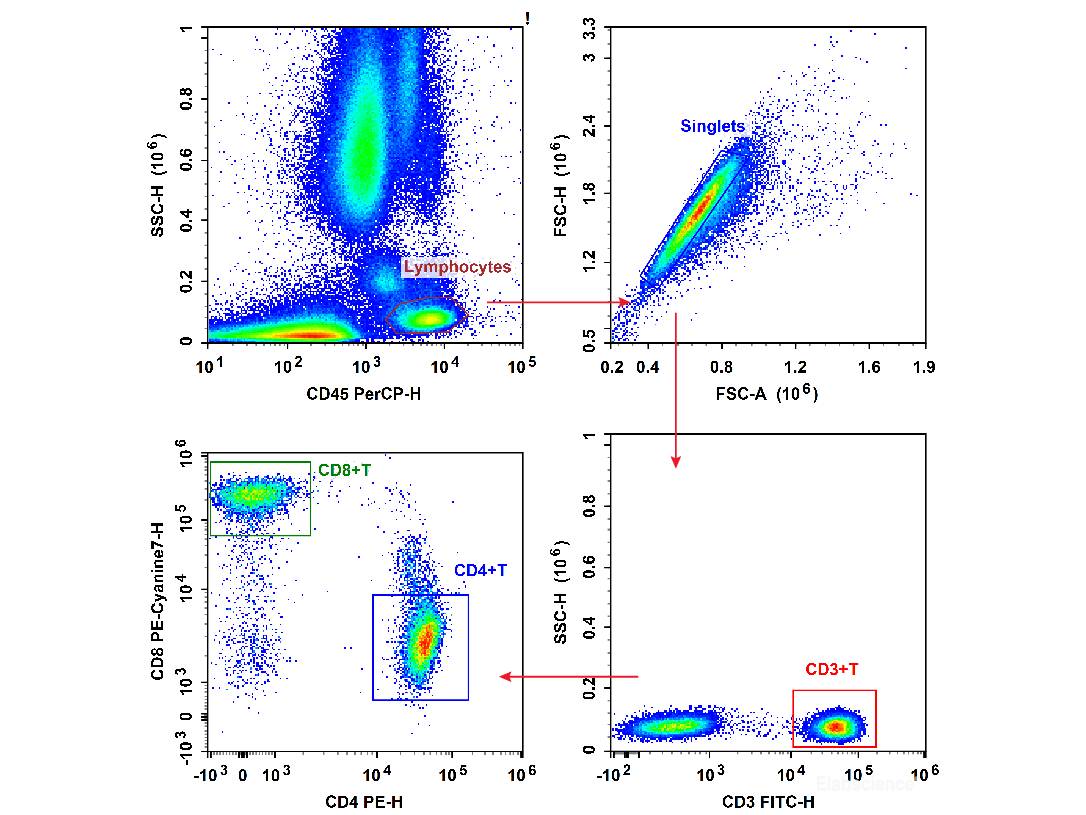 Anti-Human CD3-FITC/CD4-PE/CD8a-PE/Cyanine7/CD45-PerCP Cocktail, Biomarkers, Elabscience Biotechnology, MSE Supplies