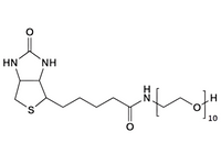 Monodispersed Poly(Ethylene Glycol) from PurePEG:(+)-Biotin-PEG10-OH - MSE Supplies LLC