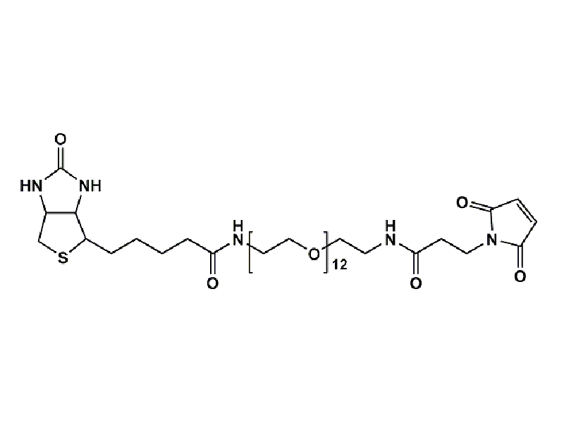 Monodispersed Poly(Ethylene Glycol) from PurePEG:(+)-Biotin-PEG12-NH-Mal - MSE Supplies LLC