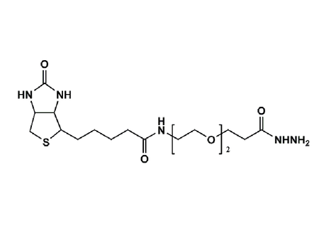 Monodispersed Poly(Ethylene Glycol) from PurePEG:(+)-Biotin-PEG2-Hydrazide - MSE Supplies LLC
