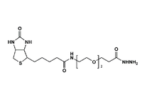 Monodispersed Poly(Ethylene Glycol) from PurePEG:(+)-Biotin-PEG2-Hydrazide - MSE Supplies LLC
