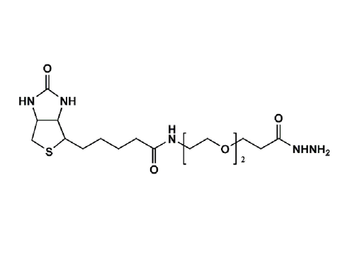 Monodispersed Poly(Ethylene Glycol) from PurePEG:(+)-Biotin-PEG2-Hydrazide - MSE Supplies LLC