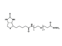 Monodispersed Poly(Ethylene Glycol) from PurePEG:(+)-Biotin-PEG3-Hydrazide - MSE Supplies LLC