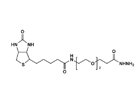 Monodispersed Poly(Ethylene Glycol) from PurePEG:(+)-Biotin-PEG3-Hydrazide - MSE Supplies LLC