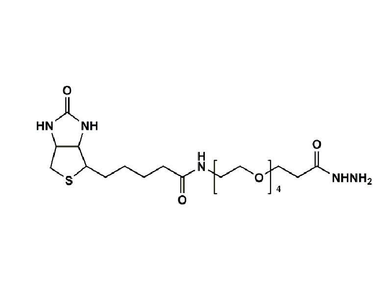 Monodispersed Poly(Ethylene Glycol) from PurePEG:(+)-Biotin-PEG4-Hydrazide - MSE Supplies LLC