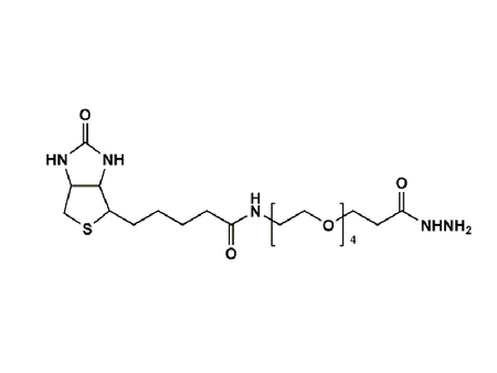 Monodispersed Poly(Ethylene Glycol) from PurePEG:(+)-Biotin-PEG4-Hydrazide - MSE Supplies LLC