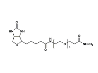 Monodispersed Poly(Ethylene Glycol) from PurePEG:(+)-Biotin-PEG4-Hydrazide - MSE Supplies LLC