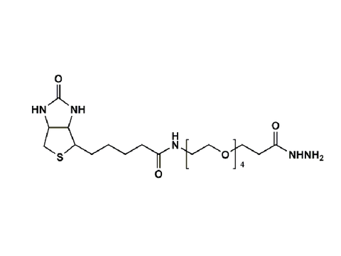 Monodispersed Poly(Ethylene Glycol) from PurePEG:(+)-Biotin-PEG4-Hydrazide - MSE Supplies LLC