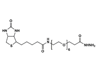 Monodispersed Poly(Ethylene Glycol) from PurePEG:(+)-Biotin-PEG6-Hydrazide - MSE Supplies LLC