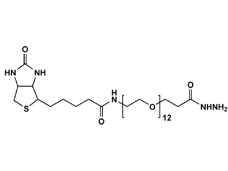 Monodispersed Poly(Ethylene Glycol) from PurePEG:(+)-Biotin-PEG12-Hydrazide - MSE Supplies LLC