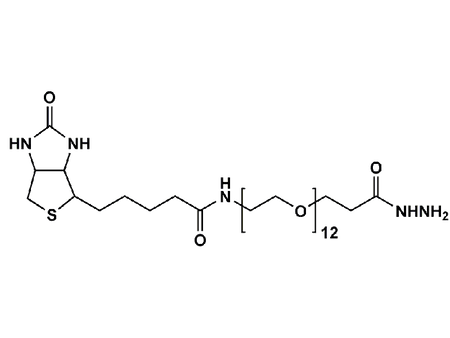 Monodispersed Poly(Ethylene Glycol) from PurePEG:(+)-Biotin-PEG12-Hydrazide - MSE Supplies LLC