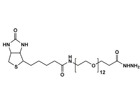 Monodispersed Poly(Ethylene Glycol) from PurePEG:(+)-Biotin-PEG12-Hydrazide - MSE Supplies LLC