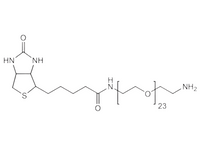 Monodispersed Poly(Ethylene Glycol) from PurePEG:(+)-Biotin-PEG23-CH2CH2NH2 - MSE Supplies LLC