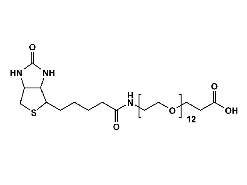 Monodispersed Poly(Ethylene Glycol) from PurePEG:(+)-Biotin-PEG12-CH2CH2COOH - MSE Supplies LLC