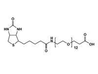 Monodispersed Poly(Ethylene Glycol) from PurePEG:(+)-Biotin-PEG12-CH2CH2COOH - MSE Supplies LLC