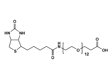 Monodispersed Poly(Ethylene Glycol) from PurePEG:(+)-Biotin-PEG12-CH2CH2COOH - MSE Supplies LLC