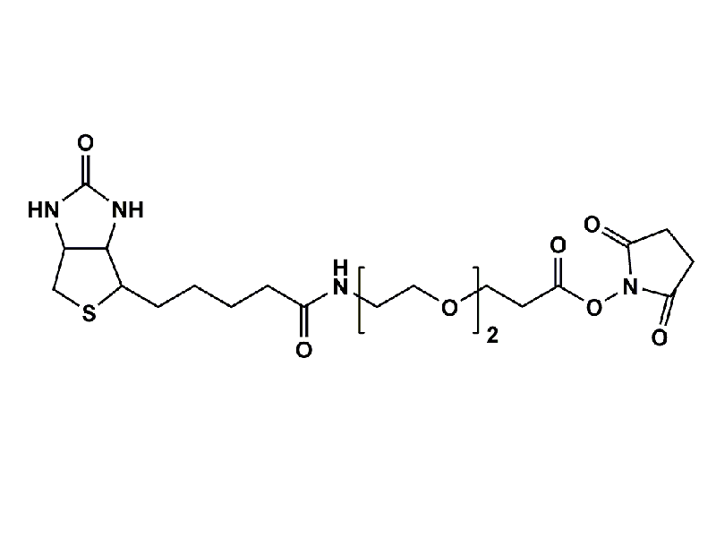 Monodispersed Poly(Ethylene Glycol) from PurePEG:(+)-Biotin-PEG2-CH2CH2COONHS Ester - MSE Supplies LLC