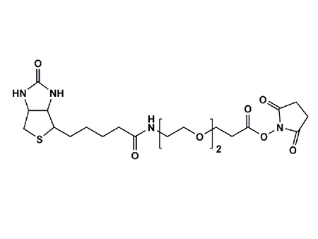 Monodispersed Poly(Ethylene Glycol) from PurePEG:(+)-Biotin-PEG2-CH2CH2COONHS Ester - MSE Supplies LLC