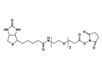 Monodispersed Poly(Ethylene Glycol) from PurePEG:(+)-Biotin-PEG2-CH2CH2COONHS Ester - MSE Supplies LLC