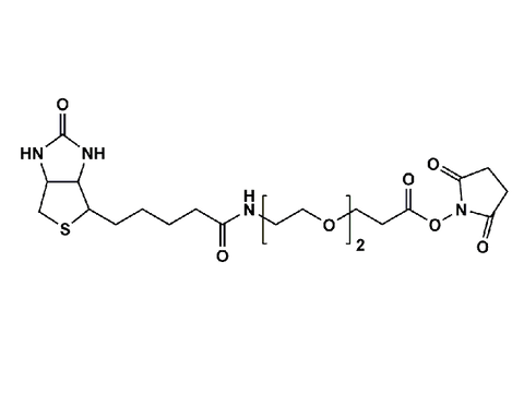 Monodispersed Poly(Ethylene Glycol) from PurePEG:(+)-Biotin-PEG2-CH2CH2COONHS Ester - MSE Supplies LLC