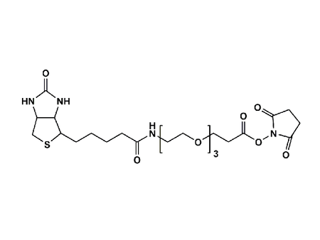 Monodispersed Poly(Ethylene Glycol) from PurePEG:(+)-Biotin-PEG3-CH2CH2COONHS Ester - MSE Supplies LLC