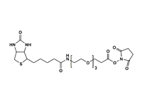 Monodispersed Poly(Ethylene Glycol) from PurePEG:(+)-Biotin-PEG3-CH2CH2COONHS Ester - MSE Supplies LLC