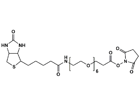 Monodispersed Poly(Ethylene Glycol) from PurePEG:(+)-Biotin-PEG6-CH2CH2COONHS Ester - MSE Supplies LLC
