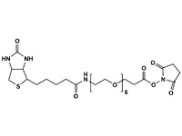 Monodispersed Poly(Ethylene Glycol) from PurePEG:(+)-Biotin-PEG6-CH2CH2COONHS Ester - MSE Supplies LLC