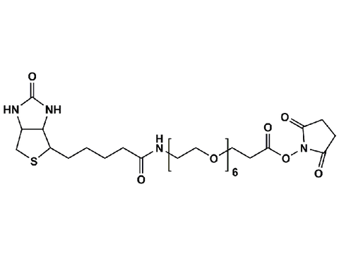 Monodispersed Poly(Ethylene Glycol) from PurePEG:(+)-Biotin-PEG6-CH2CH2COONHS Ester - MSE Supplies LLC