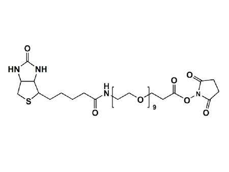 Monodispersed Poly(Ethylene Glycol) from PurePEG:(+)-Biotin-PEG9-NHS Ester - MSE Supplies LLC