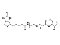 Monodispersed Poly(Ethylene Glycol) from PurePEG:(+)-Biotin-PEG9-NHS Ester - MSE Supplies LLC