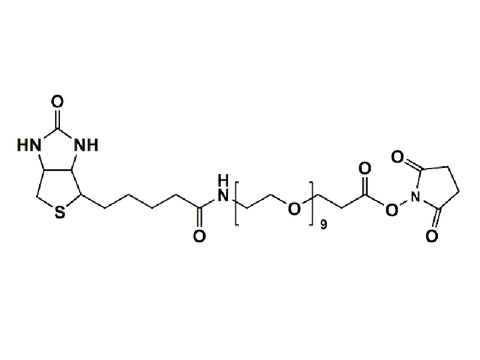 Monodispersed Poly(Ethylene Glycol) from PurePEG:(+)-Biotin-PEG9-NHS Ester - MSE Supplies LLC