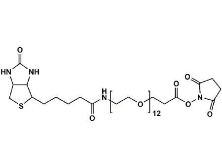 Monodispersed Poly(Ethylene Glycol) from PurePEG:(+)-Biotin-PEG12-CH2CH2COONHS Ester - MSE Supplies LLC
