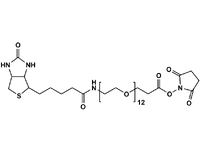 Monodispersed Poly(Ethylene Glycol) from PurePEG:(+)-Biotin-PEG12-CH2CH2COONHS Ester - MSE Supplies LLC